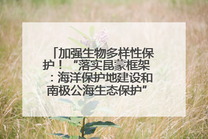 加强生物多样性保护！“落实昆蒙框架：海洋保护地建设和南极公海生态保护”主题论坛将举办
