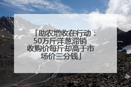 助农增收在行动：50万斤洋葱滞销 收购价每斤却高于市场价三分钱
