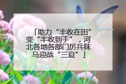 助力“丰收在田”变“丰收到手”，河北各地各部门厉兵秣马迎战“三夏”