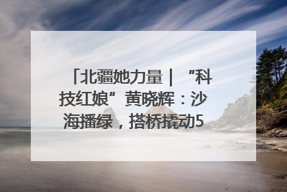 北疆她力量｜“科技红娘”黄晓辉：沙海播绿，搭桥撬动5.3亿研发