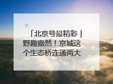 北京号最精彩｜野趣盎然！京城这个生态桥连通两大网红公园