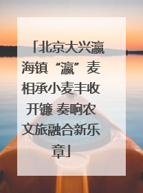 北京大兴瀛海镇“瀛”麦相承小麦丰收开镰 奏响农文旅融合新乐章