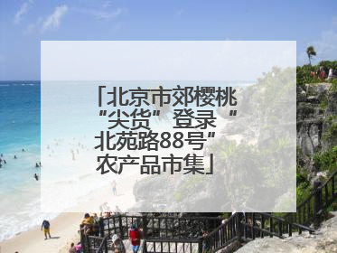 北京市郊樱桃“尖货”登录“北苑路88号”农产品市集