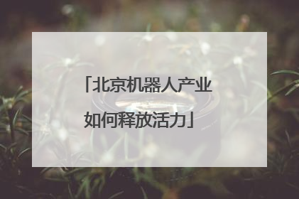 北京机器人产业如何释放活力