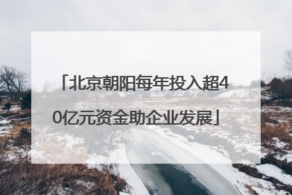 北京朝阳每年投入超40亿元资金助企业发展