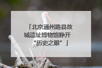 北京通州路县故城遗址博物馆睁开“历史之眼”