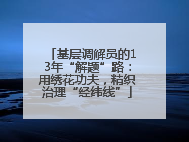 基层调解员的13年“解题”路：用绣花功夫，精织治理“经纬线”