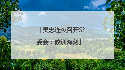 吴忠连夜召开常委会：教训深刻