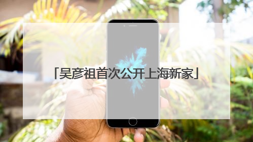 吴彦祖首次公开上海新家