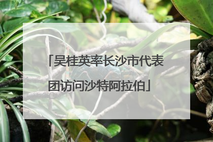 吴桂英率长沙市代表团访问沙特阿拉伯