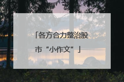 各方合力整治股市“小作文”