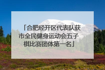 合肥经开区代表队获市全民健身运动会五子棋比赛团体第一名