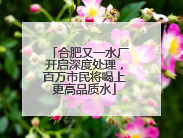 合肥又一水厂开启深度处理，百万市民将喝上更高品质水
