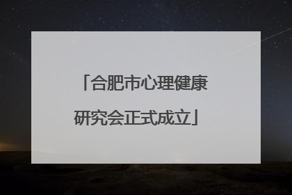 合肥市心理健康研究会正式成立