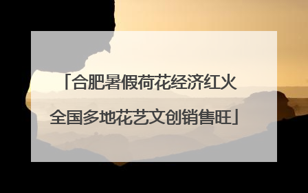合肥暑假荷花经济红火 全国多地花艺文创销售旺