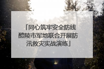 同心筑牢安全防线 醴陵市军地联合开展防汛救灾实战演练