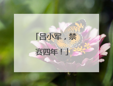 吕小军，禁赛四年！