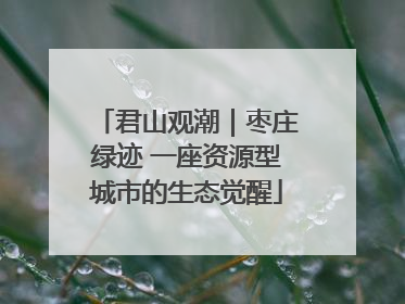 君山观潮｜枣庄绿迹 一座资源型城市的生态觉醒