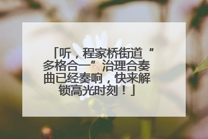 听，程家桥街道“多格合一”治理合奏曲已经奏响，快来解锁高光时刻！