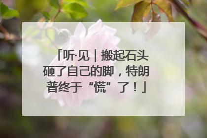 听·见｜搬起石头砸了自己的脚，特朗普终于“慌”了！