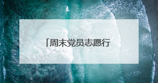 周末党员志愿行 巡河护水显担当