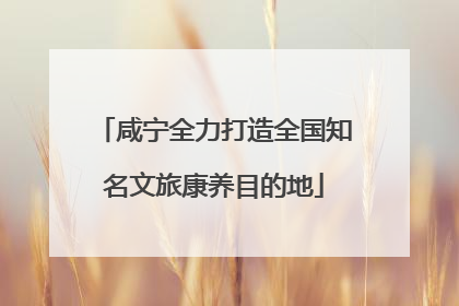 咸宁全力打造全国知名文旅康养目的地