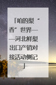 咱的梨“香”世界——河北鲜梨出口产销对接活动侧记