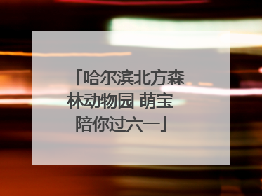 哈尔滨北方森林动物园 萌宝陪你过六一