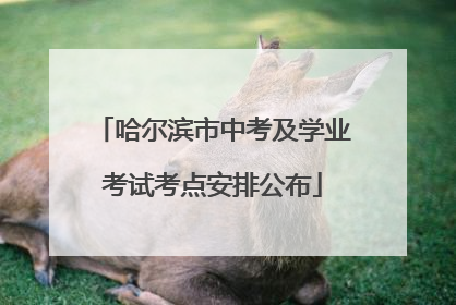 哈尔滨市中考及学业考试考点安排公布