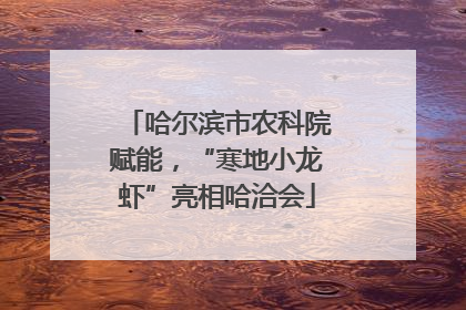 哈尔滨市农科院赋能，“寒地小龙虾”亮相哈洽会
