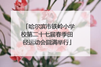 哈尔滨市铁岭小学校第二十七届春季田径运动会圆满举行