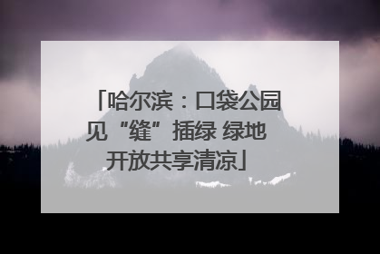 哈尔滨：口袋公园见“缝”插绿 绿地开放共享清凉