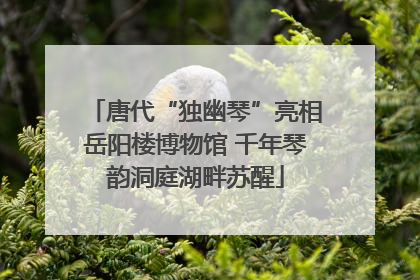 唐代“独幽琴”亮相岳阳楼博物馆 千年琴韵洞庭湖畔苏醒