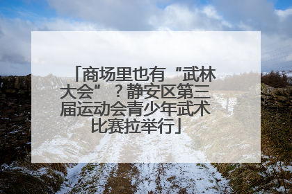 商场里也有“武林大会”？静安区第三届运动会青少年武术比赛拉举行