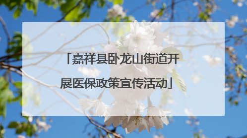 嘉祥县卧龙山街道开展医保政策宣传活动