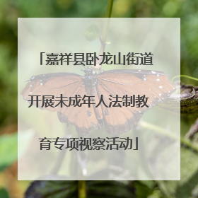 嘉祥县卧龙山街道开展未成年人法制教育专项视察活动