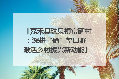 嘉禾县珠泉镇富硒村：深耕“硒”望田野 激活乡村振兴新动能