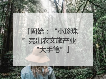 固始：“小珍珠”亮出农文旅产业“大手笔”