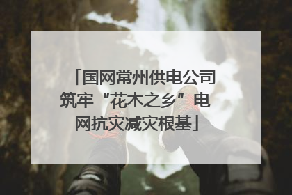 国网常州供电公司筑牢“花木之乡”电网抗灾减灾根基