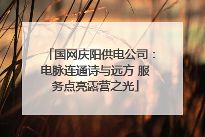 国网庆阳供电公司：电脉连通诗与远方 服务点亮露营之光