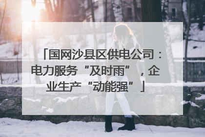 国网沙县区供电公司：电力服务“及时雨”，企业生产“动能强”