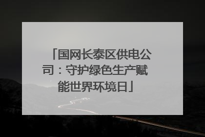 国网长泰区供电公司：守护绿色生产赋能世界环境日