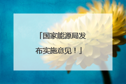国家能源局发布实施意见！