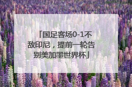国足客场0-1不敌印尼，提前一轮告别美加墨世界杯