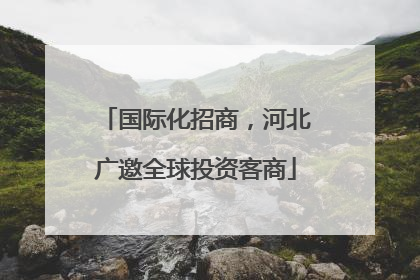 国际化招商，河北广邀全球投资客商
