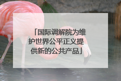 国际调解院为维护世界公平正义提供新的公共产品