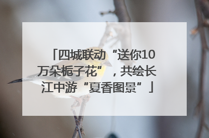 四城联动“送你10万朵栀子花”，共绘长江中游“夏香图景”