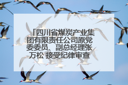 四川省煤炭产业集团有限责任公司原党委委员、副总经理张万松 接受纪律审查和监察调查