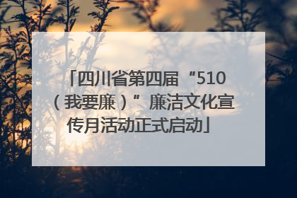 四川省第四届“510（我要廉）”廉洁文化宣传月活动正式启动