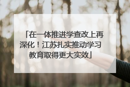 在一体推进学查改上再深化！江苏扎实推动学习教育取得更大实效